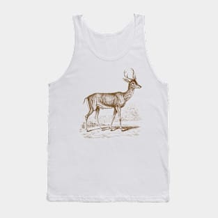 Roe Deer Vintage Wildlife Illustration Tank Top